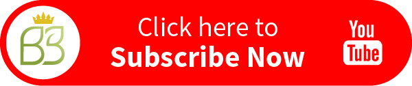 BB_Subscribe-Youtube-Button